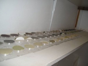 Petris - Dust Monitoring Equipment